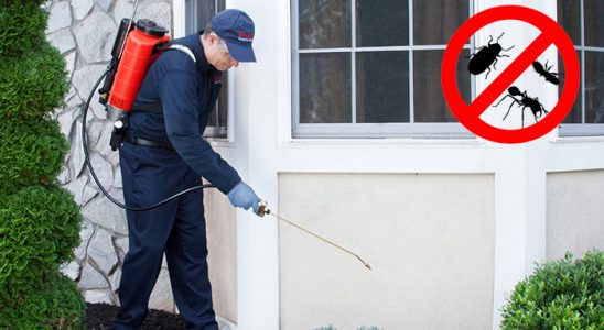 Otlukbeli Akrep İlaçlama böcek ilaçlama ve haşere kontrolü — ilaclama-tr.com